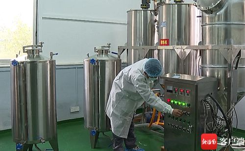 五指山油茶加工厂升级设备，榨出“致富油”助推乡村振兴