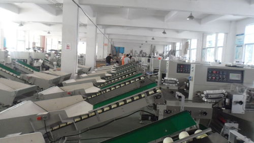 新科力冰糖橙套袋包装机 建筑材料领域的精品橙子包装解决方案